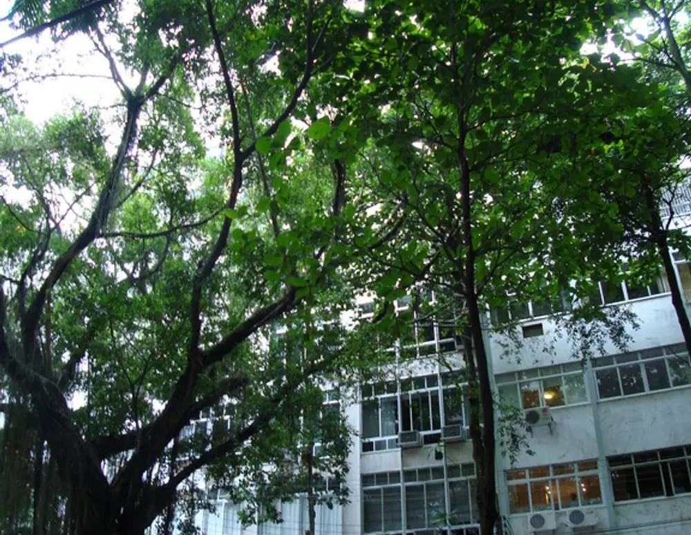 Edificio Lina