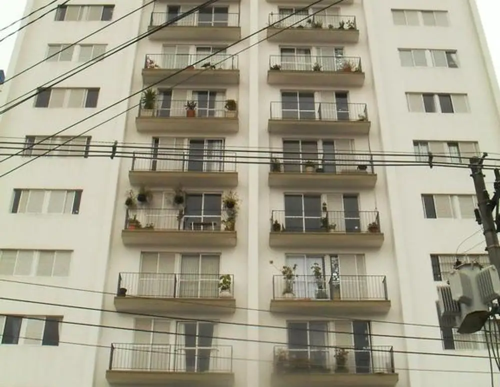 Bosque dos Pinheiros