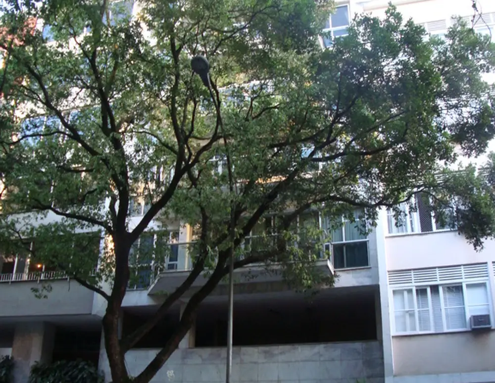 Edifício Betilana