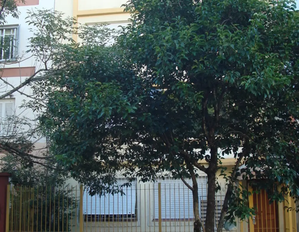 Edificio Santa Cecilia