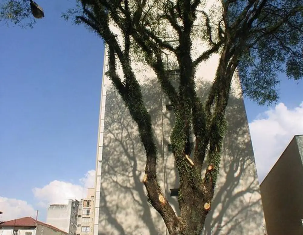 Edificio Astor e Luxor