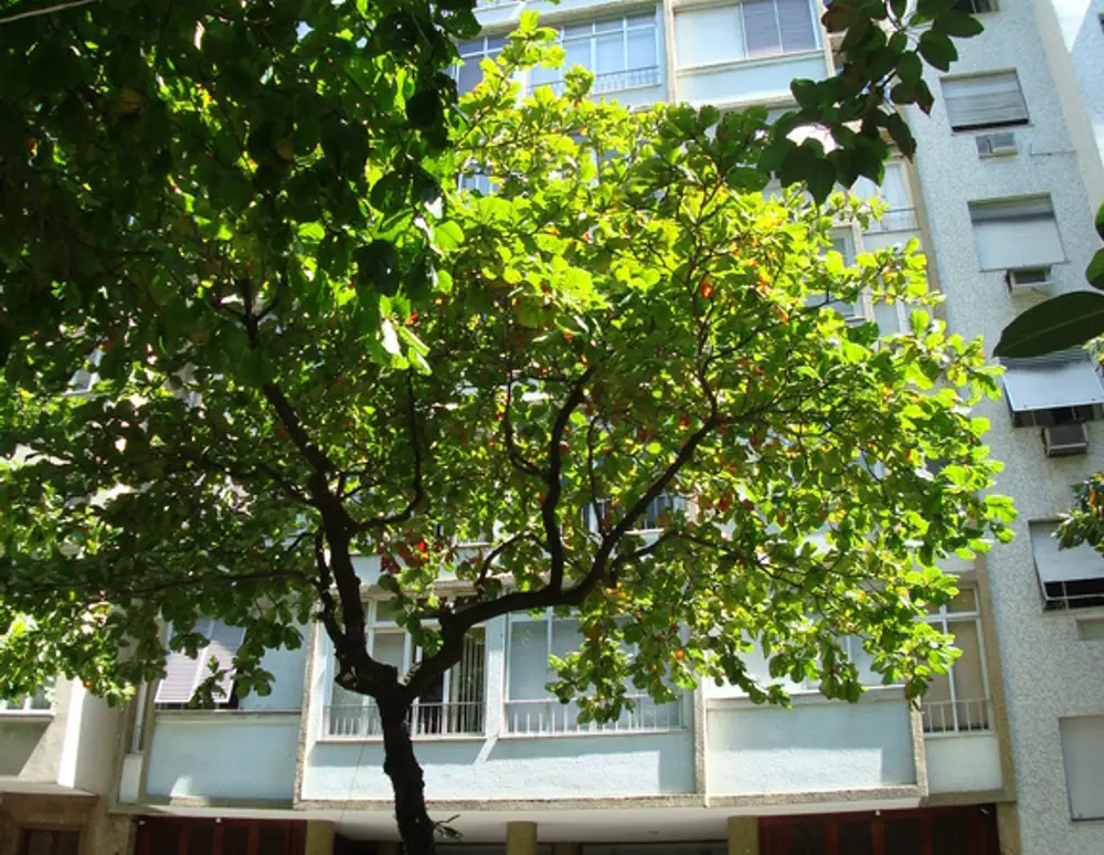 Edificio Pietra Santa