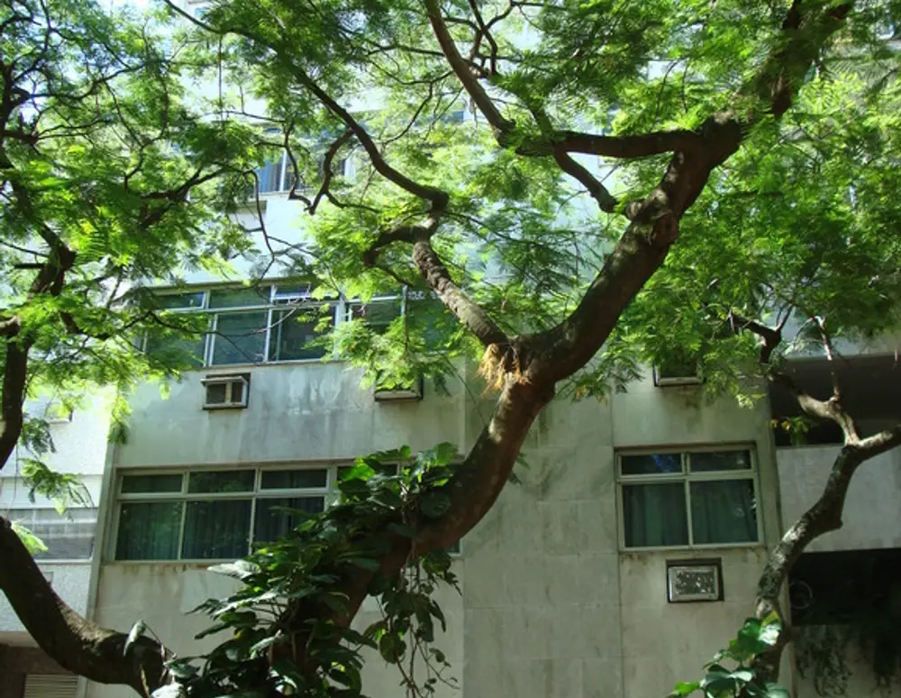 Edificio Nassi