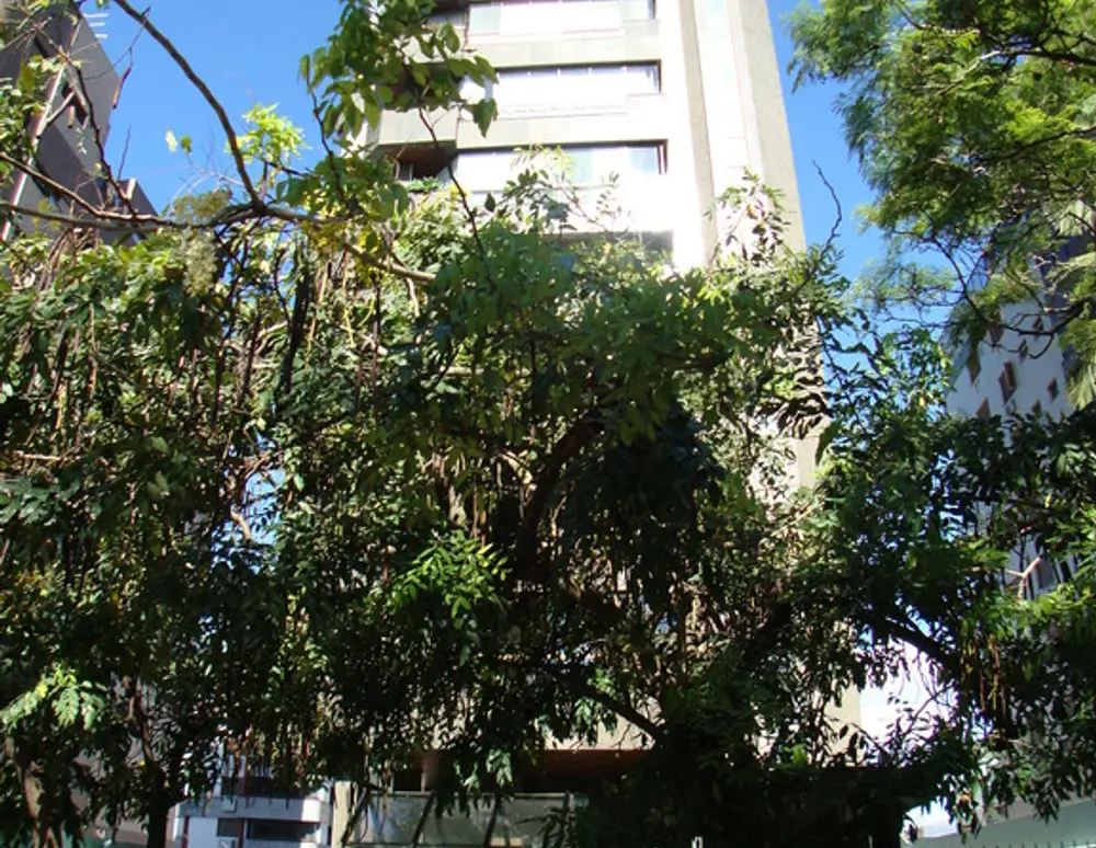 Edificio Mont Sauvage