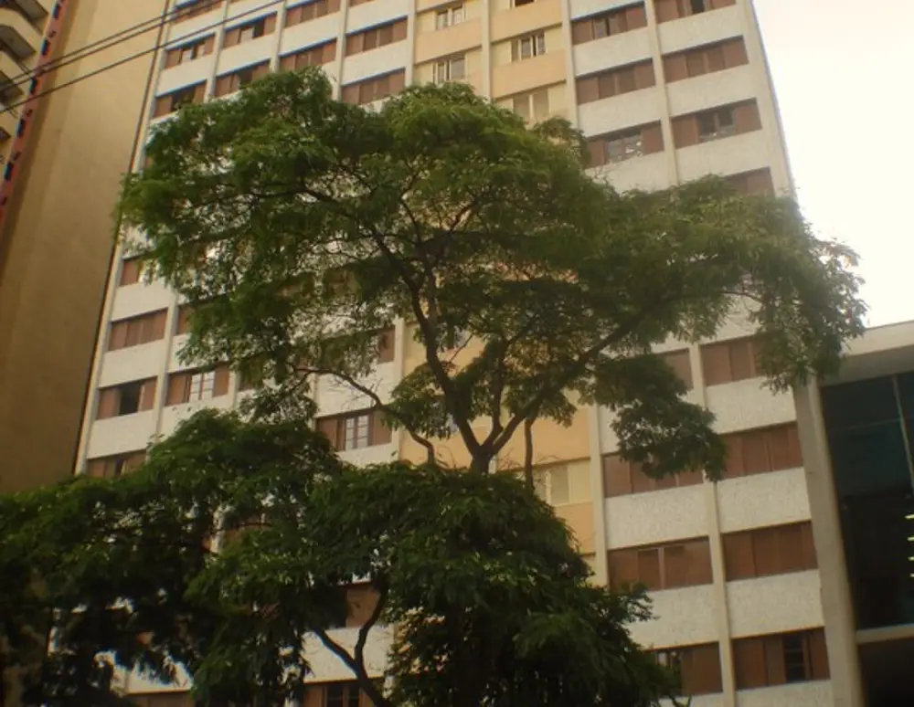 Edificio Rosa Maria — foto 2