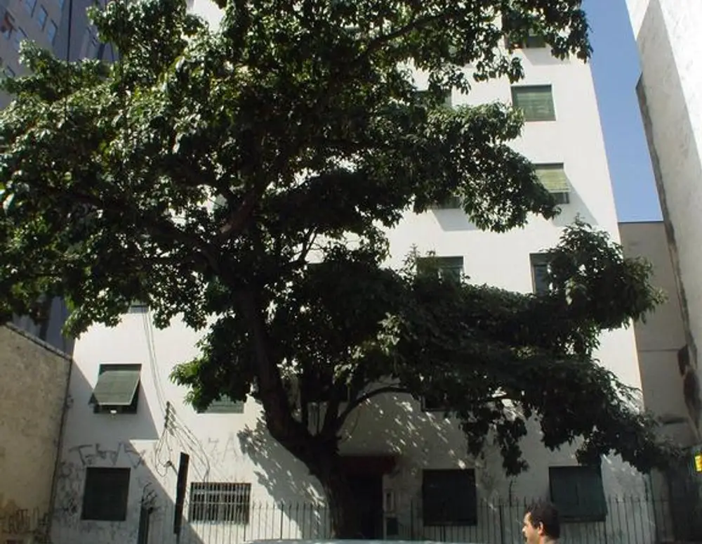 Edificio Isaura — foto 2