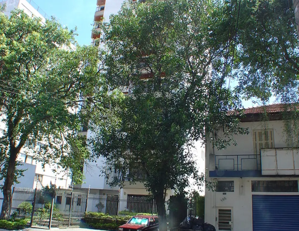 Edificio J J Mendes — foto 3
