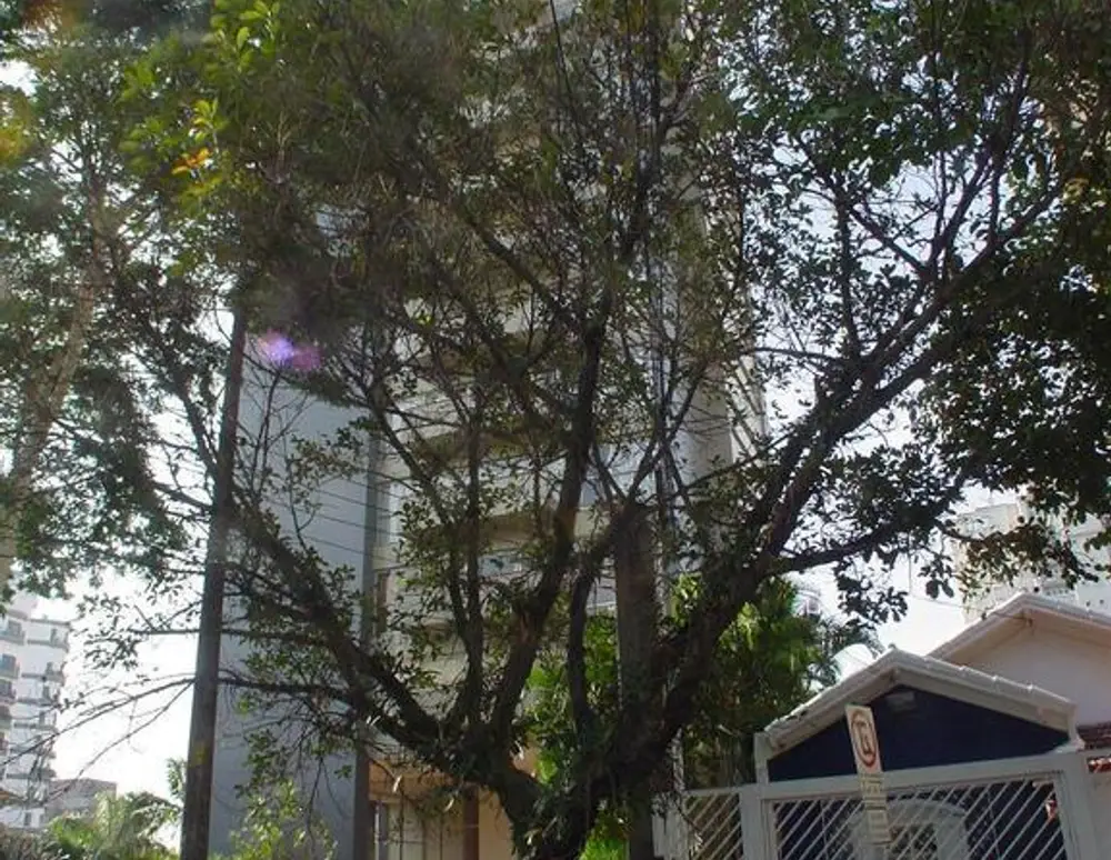 Edificio Jatiuca