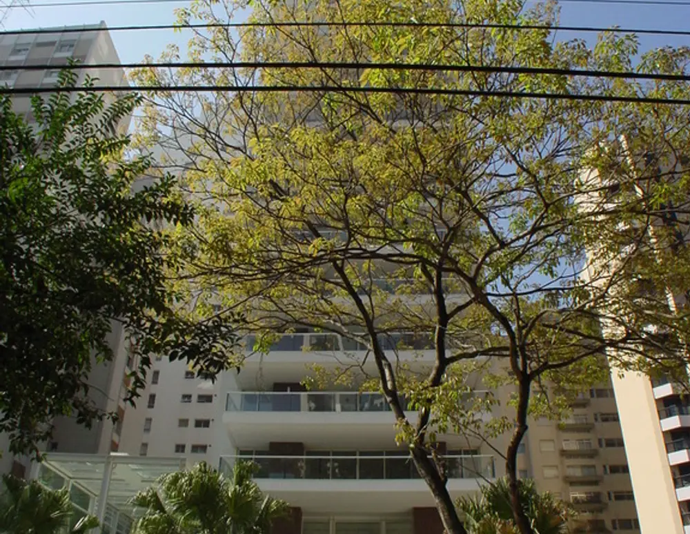 Edificio Mignon — foto 4