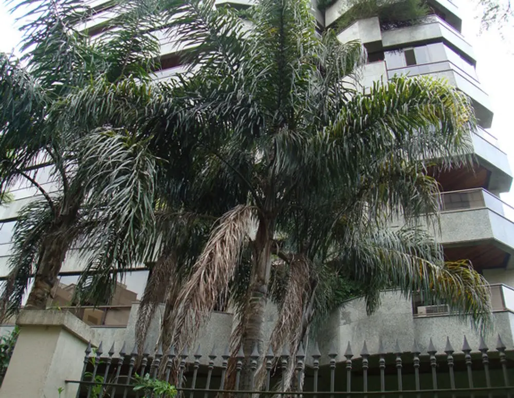Edificio Montana