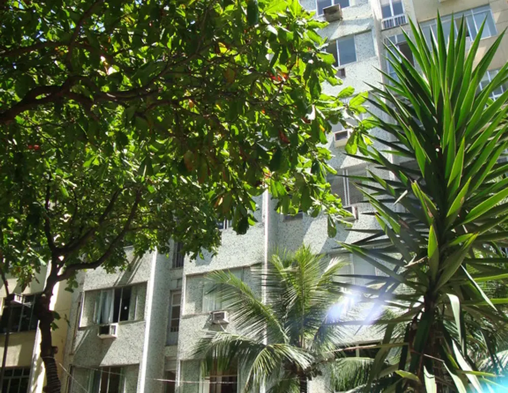 Edificio Brana