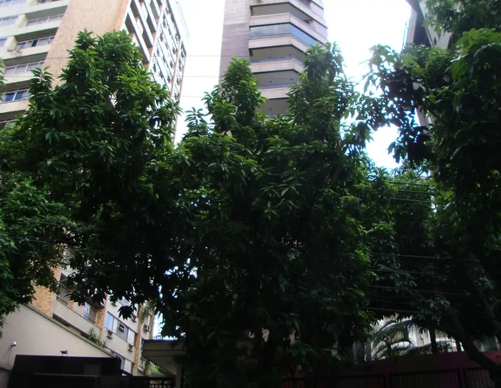 Edificio Guaruja