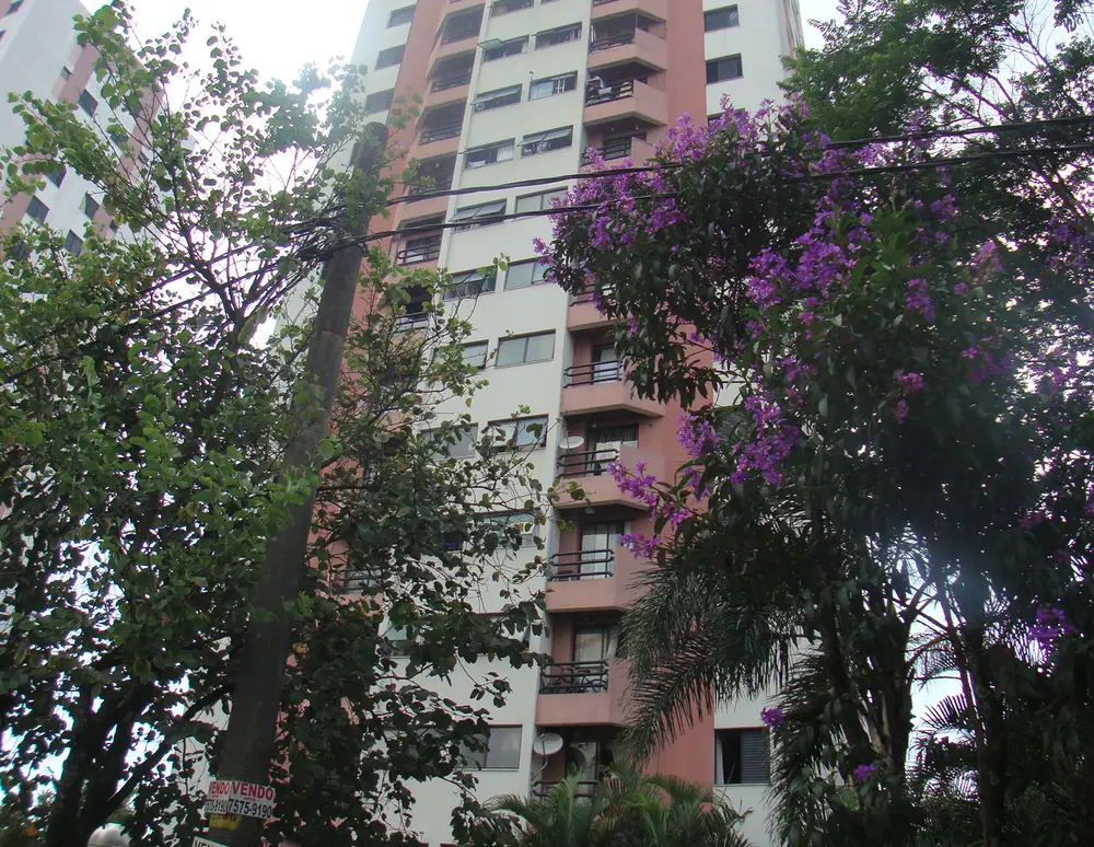 Edificio Jatoba