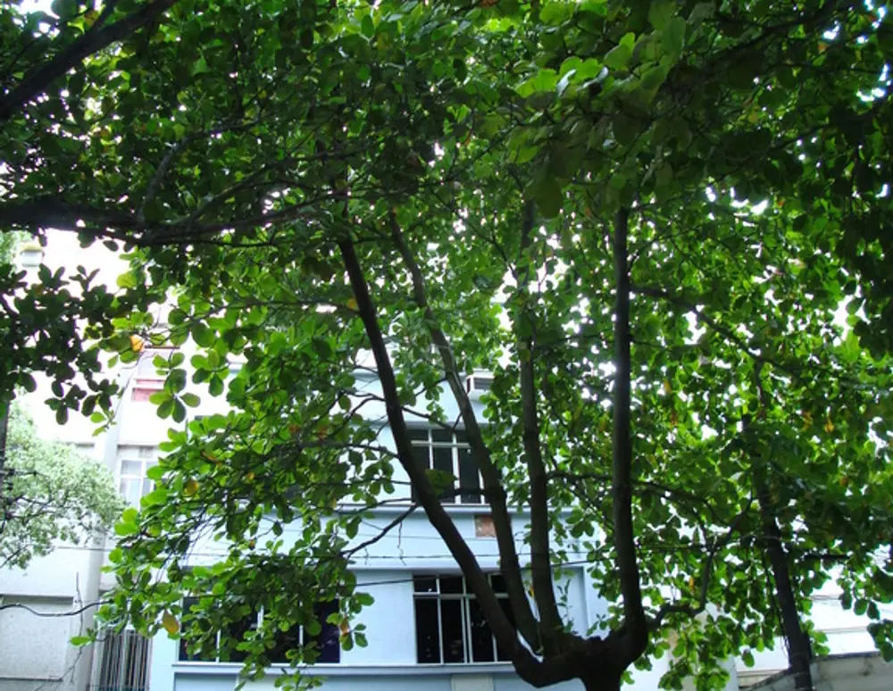 Edificio Polyrosa