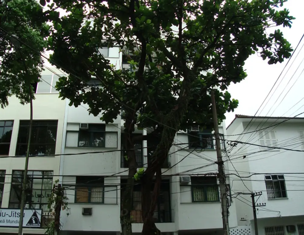 Edificio Brunize