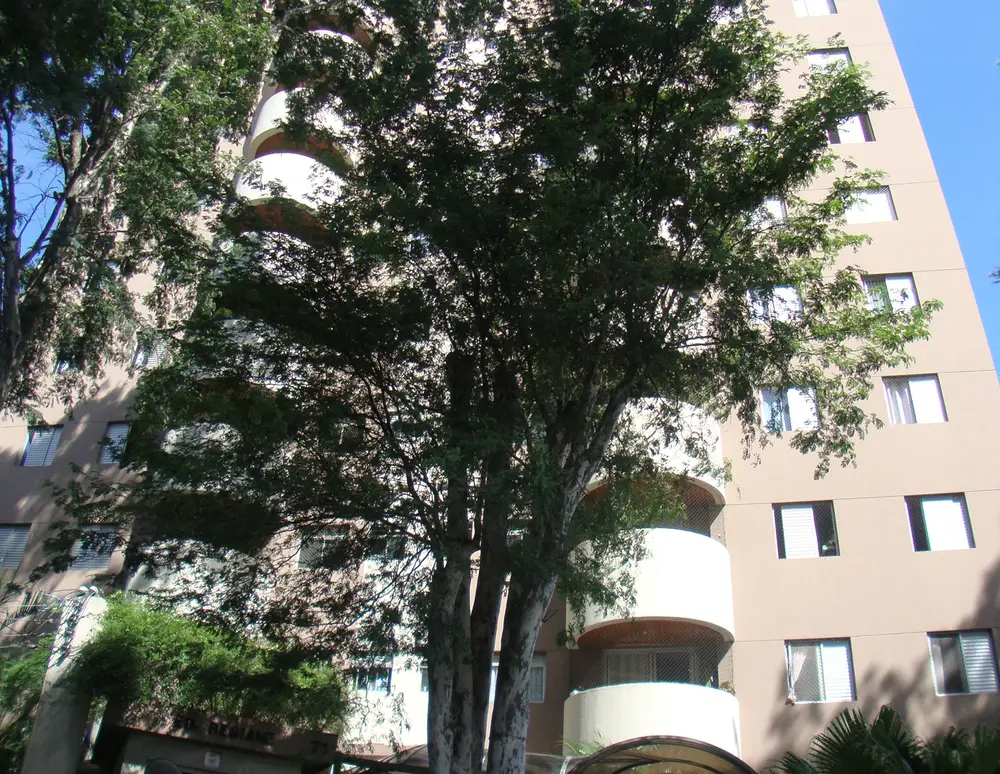 Edificio Regiane — foto 2