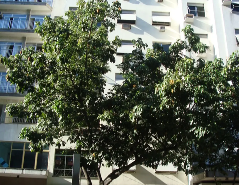 Edificio Maria Nazareth