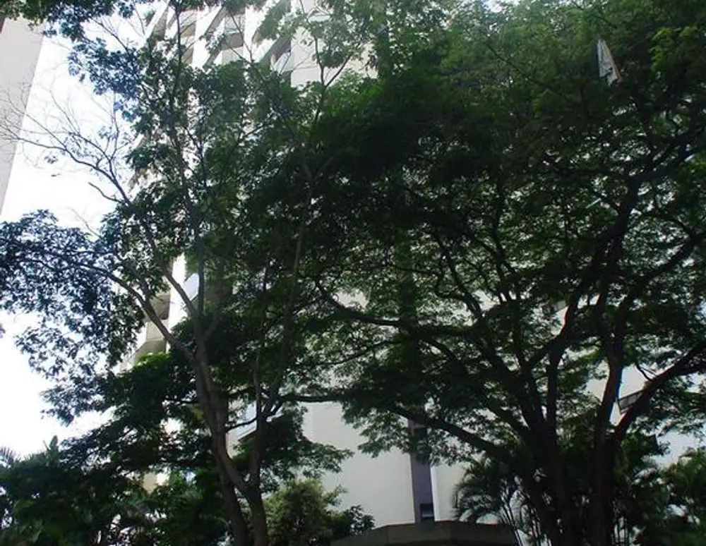 Edificio Silvana — foto 2