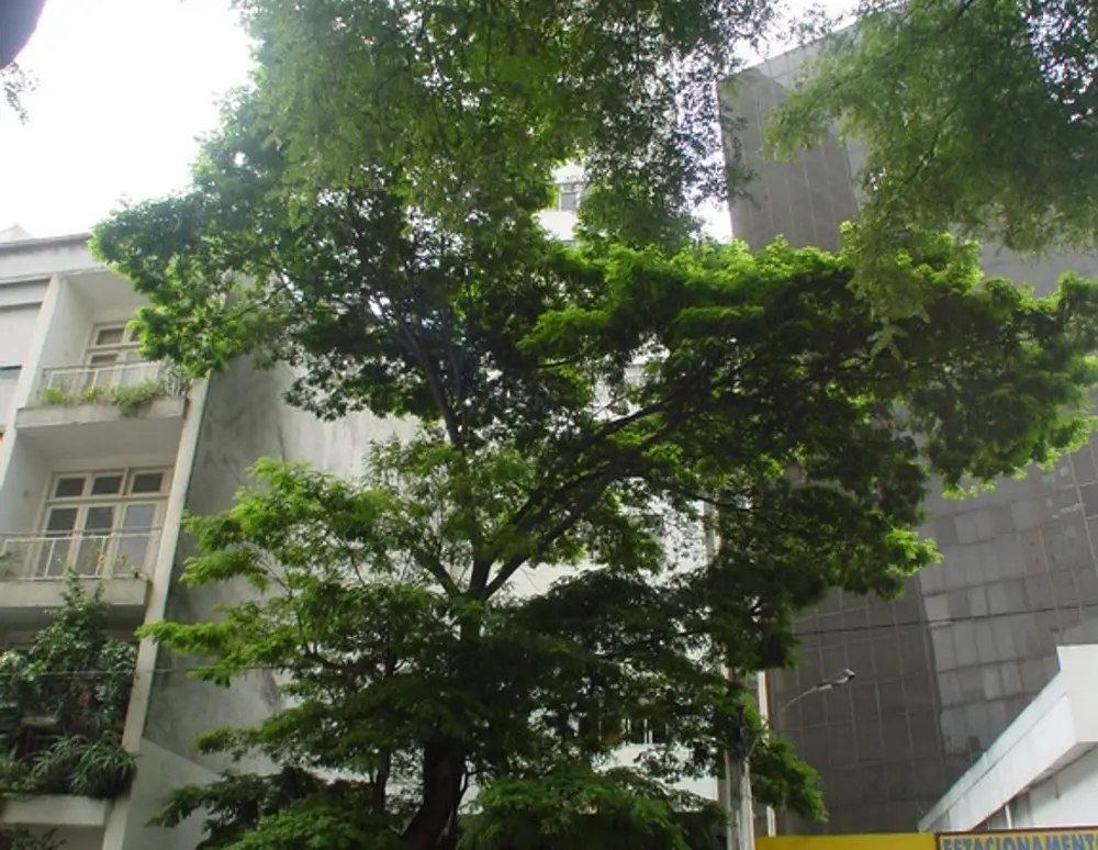 Edificio Renata
