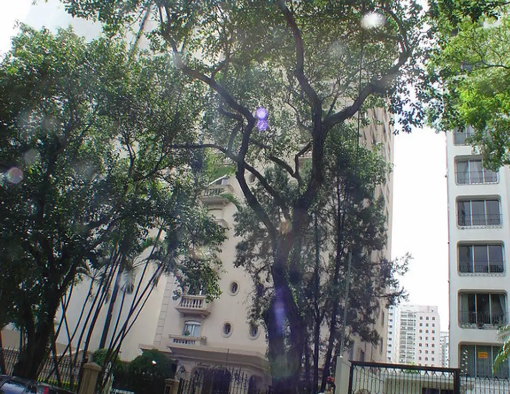 Edificio Mansao J Saade — foto 3