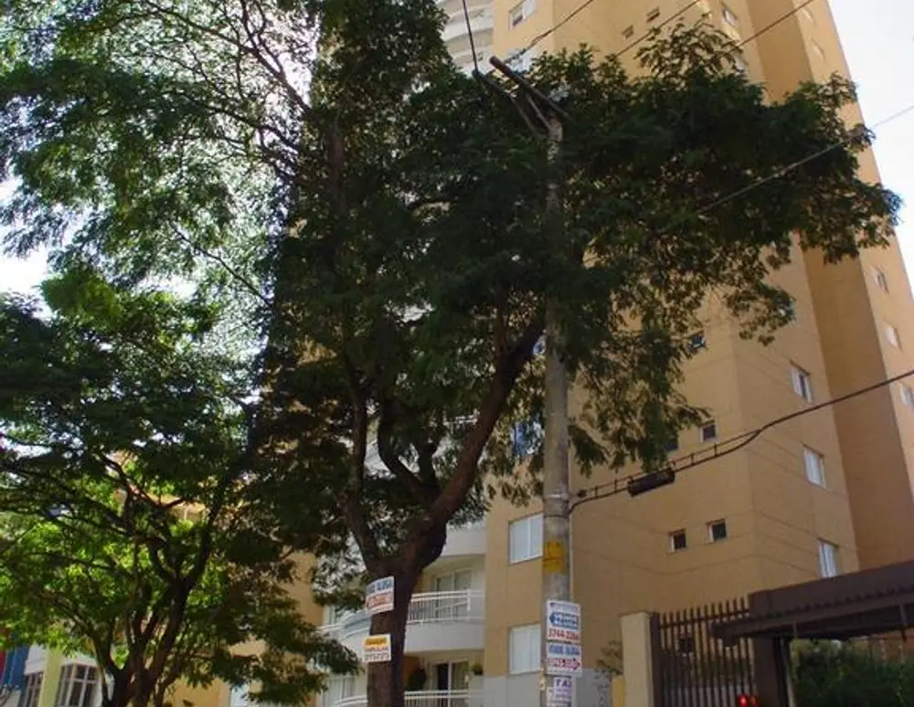 Edificio Kaimana — foto 2