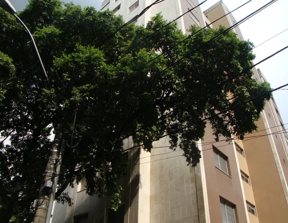 Edificio Antonio Lincoln Drummond