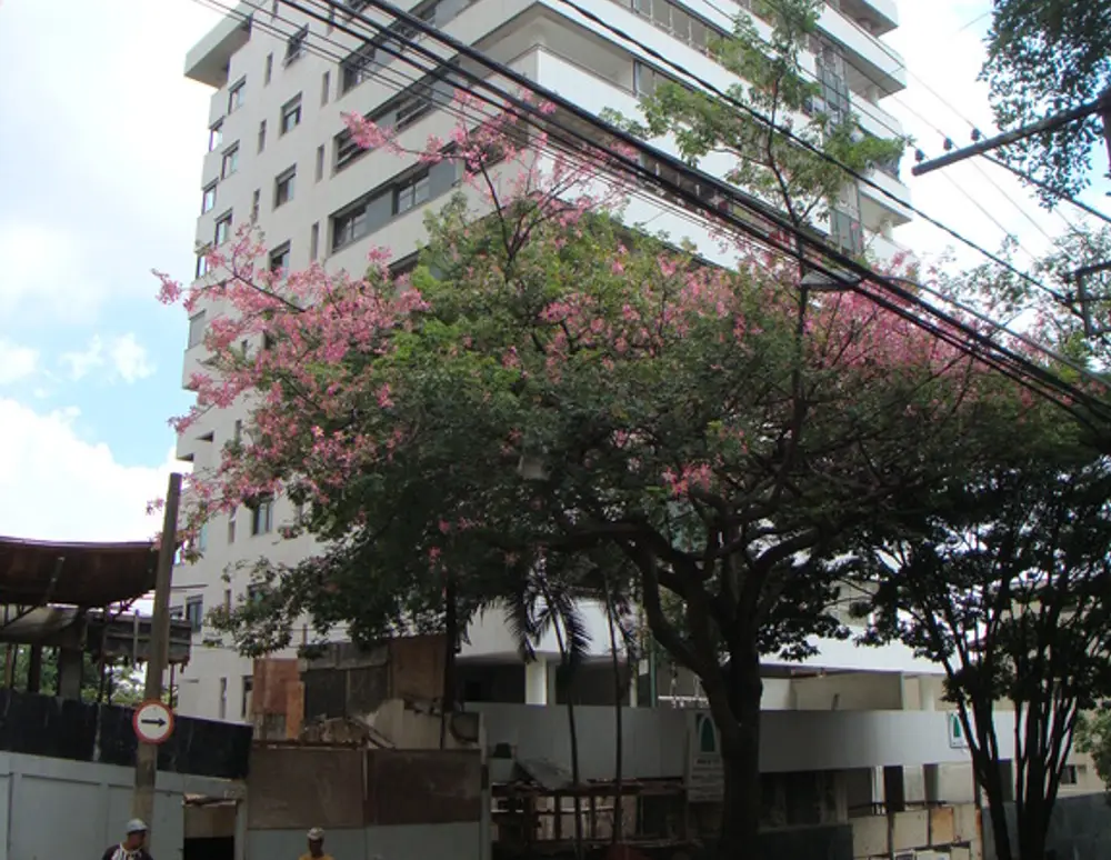 Edificio Sierra Nevada