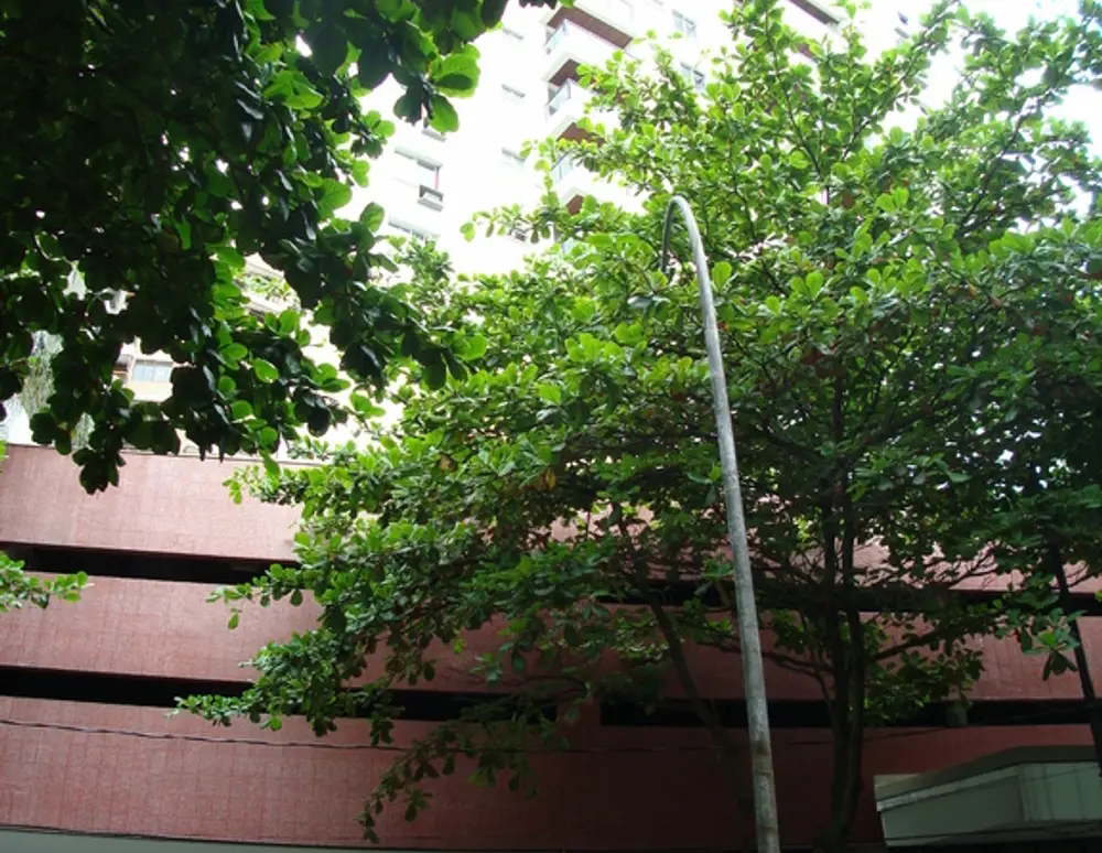 Edificio Canto Livre