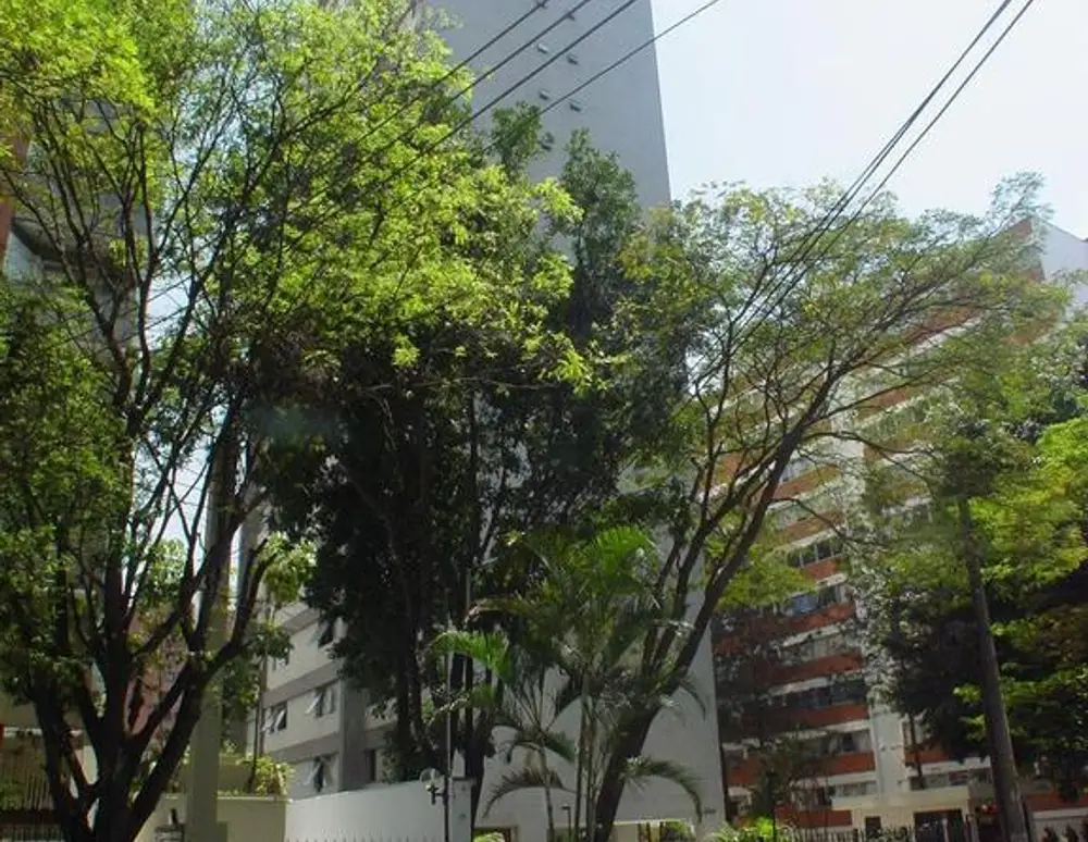 Edificio Lyss — foto 2