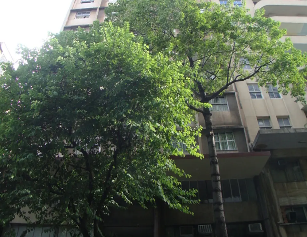 Edificio Aurora