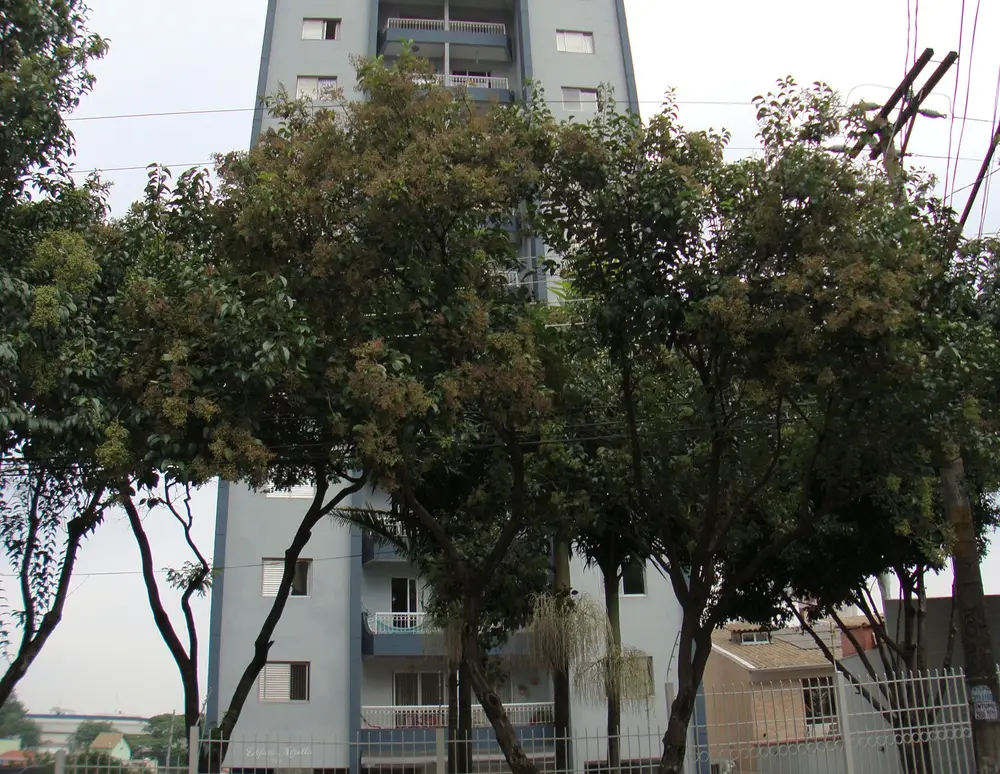 Edificio Mirella