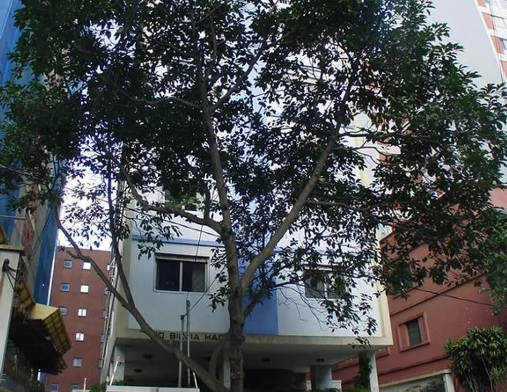 Edificio Silvia Haddad — foto 2