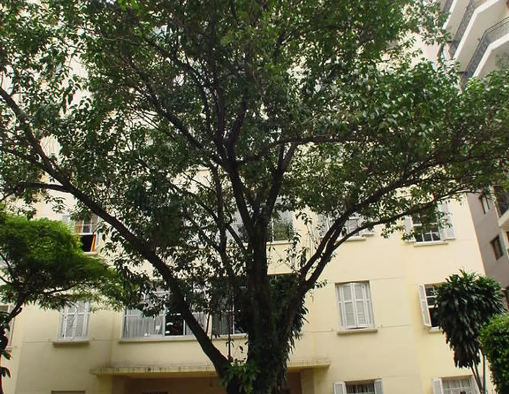 Edificio La Tuille — foto 2