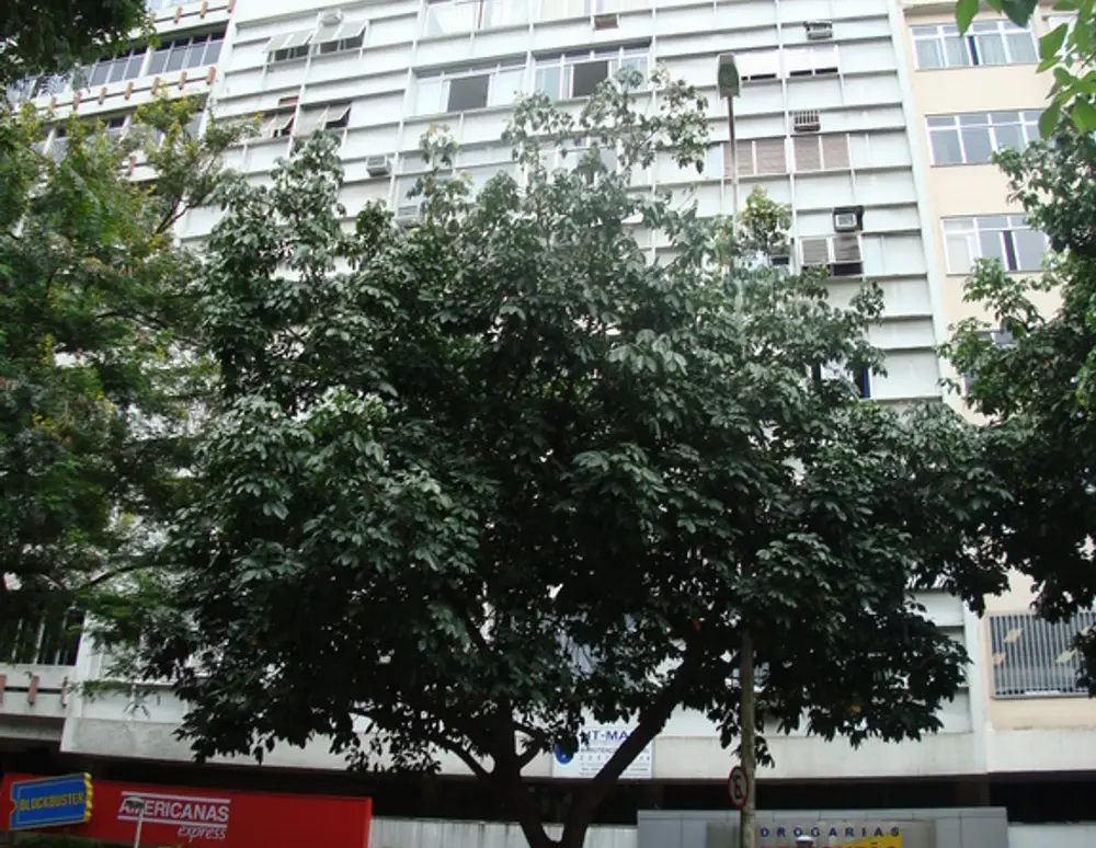 Edificio Evepe