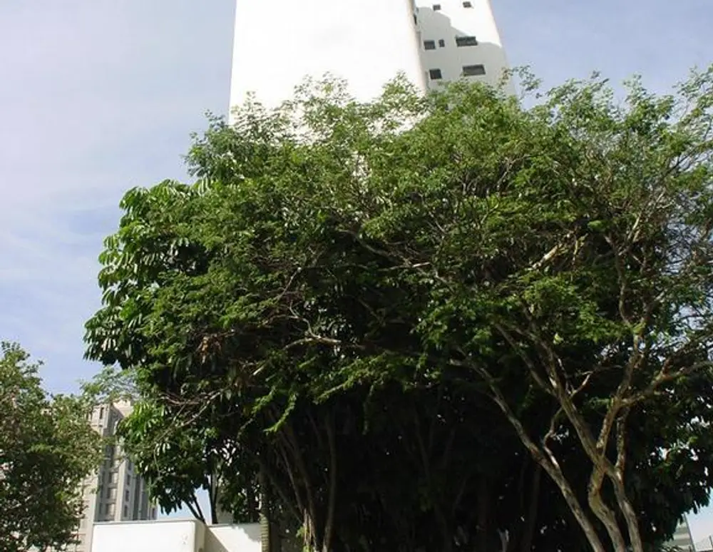 Edificio Port Grimaud — foto 2