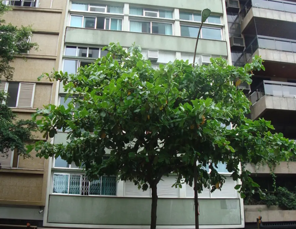 Edificio Prudente de Moraes