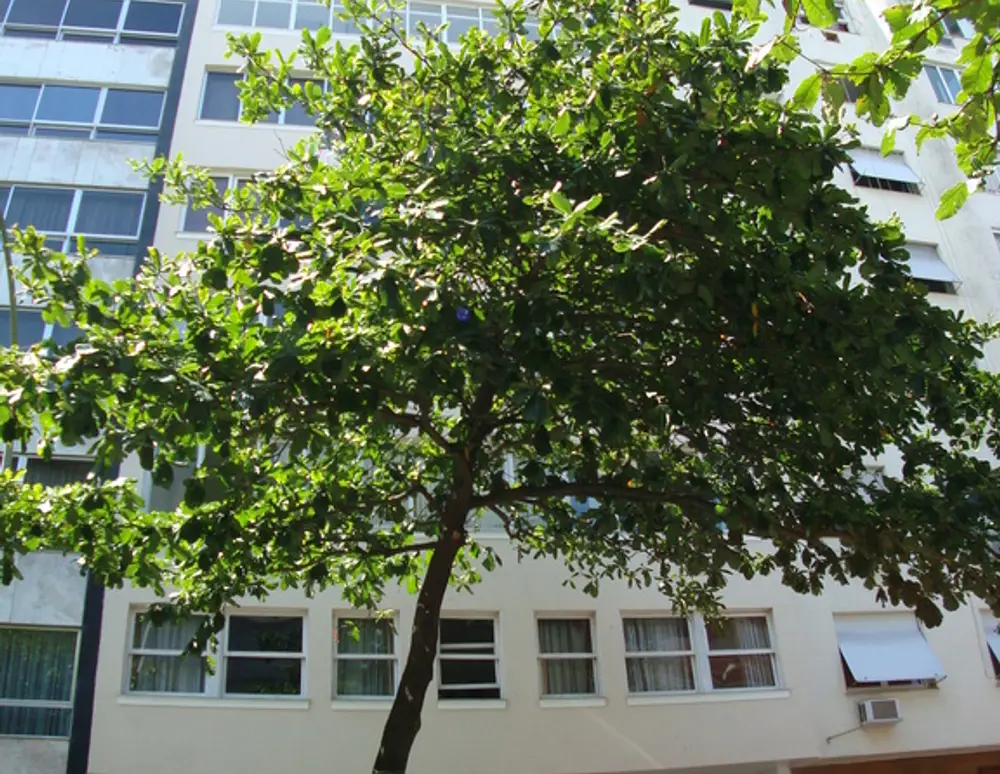 Edificio Joaquim Nabuco
