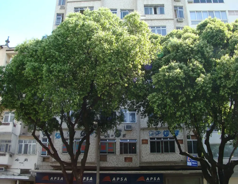 Edificio Pequia