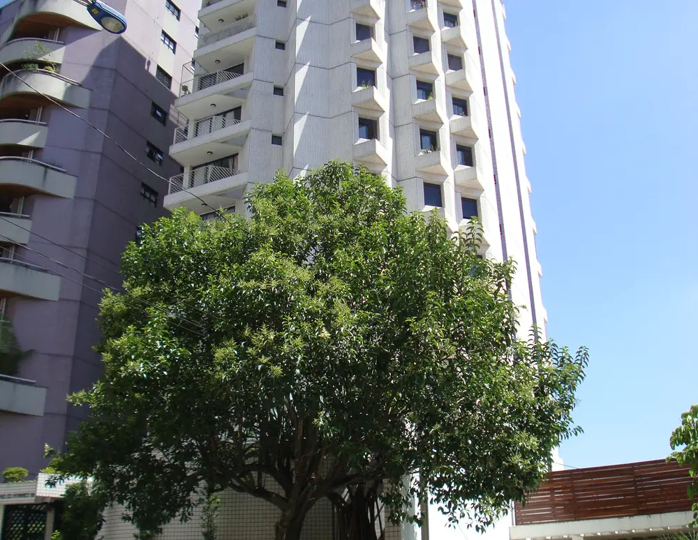 Edificio Hommes