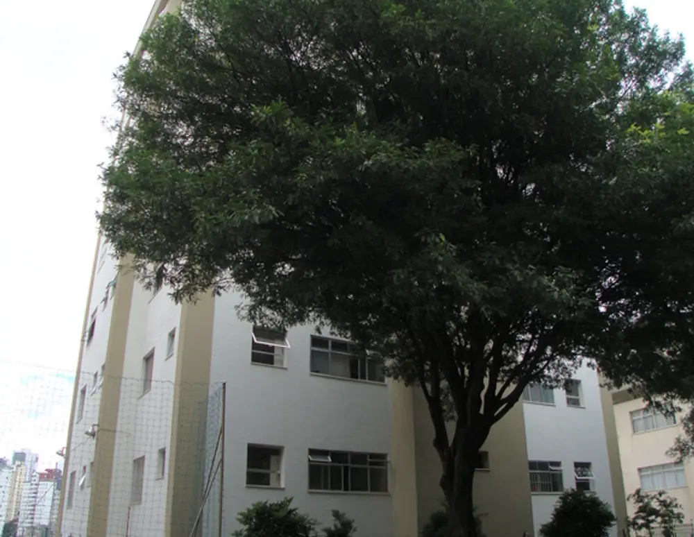 Edificio Bouganville