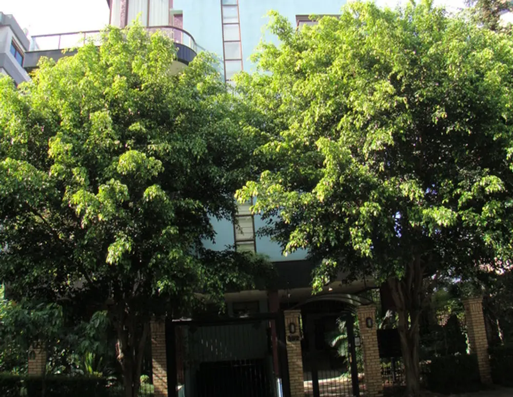 Edificio Lago Negro