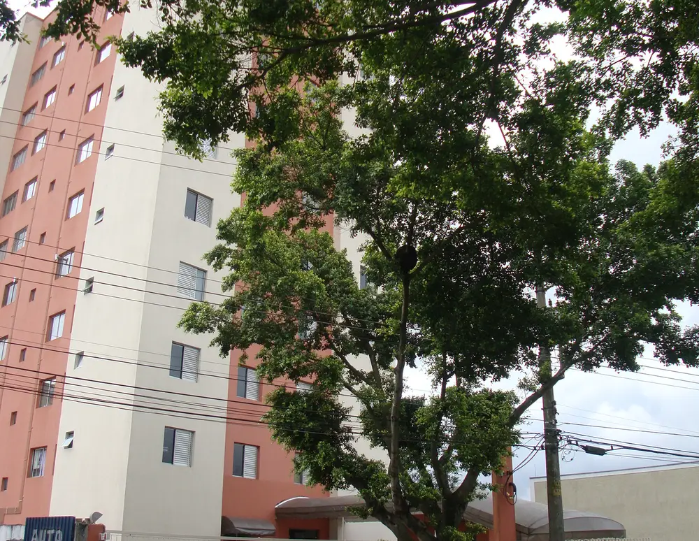 Residencial Nazare