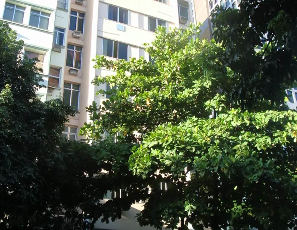 Edificio Moenda