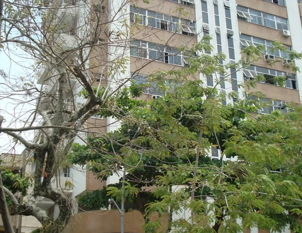 Edificio Farwell