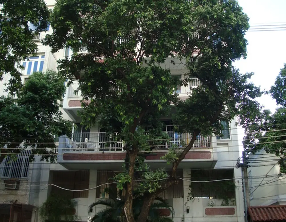 Edificio Leopoldina