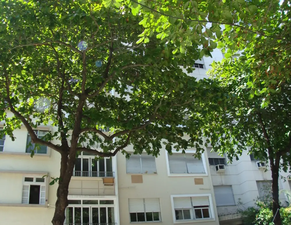 Edificio Lydda