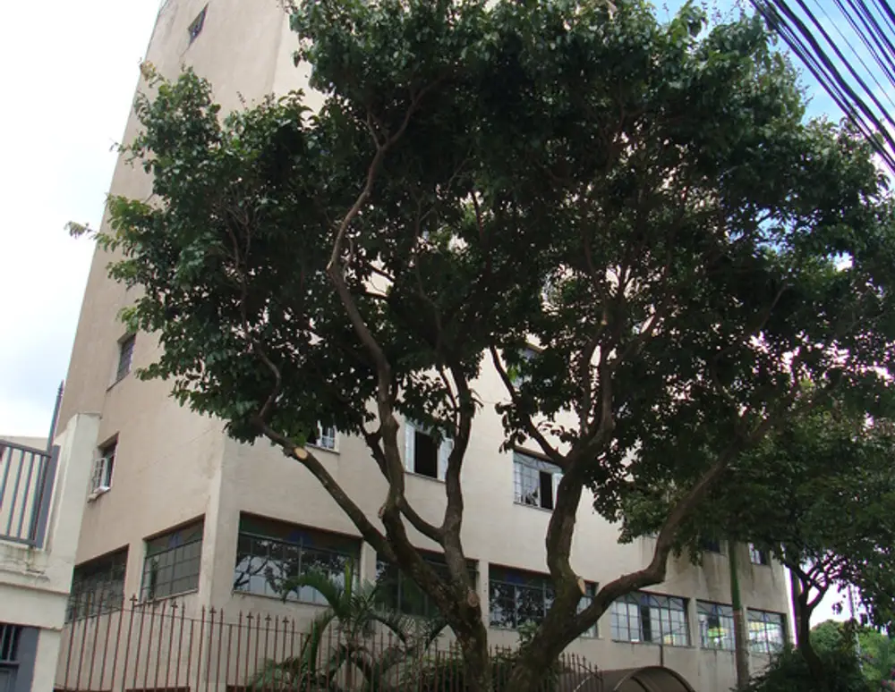 Edificio Beatriz Aguiar Naves