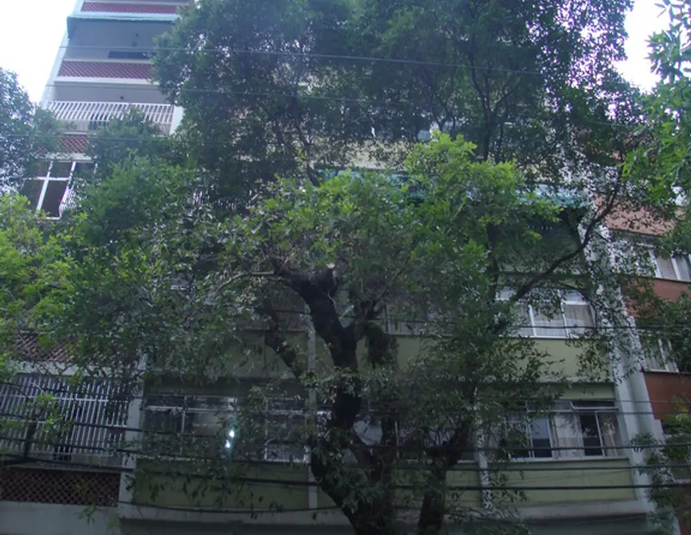 Edificio Tagus