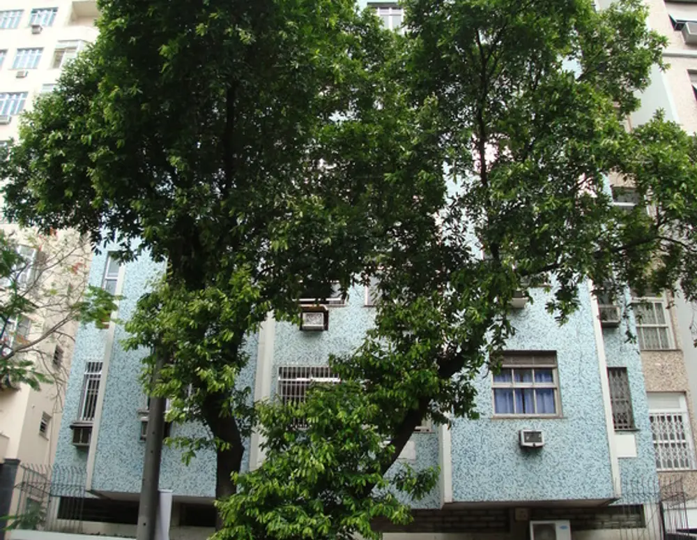 Edificio Mont Alverne
