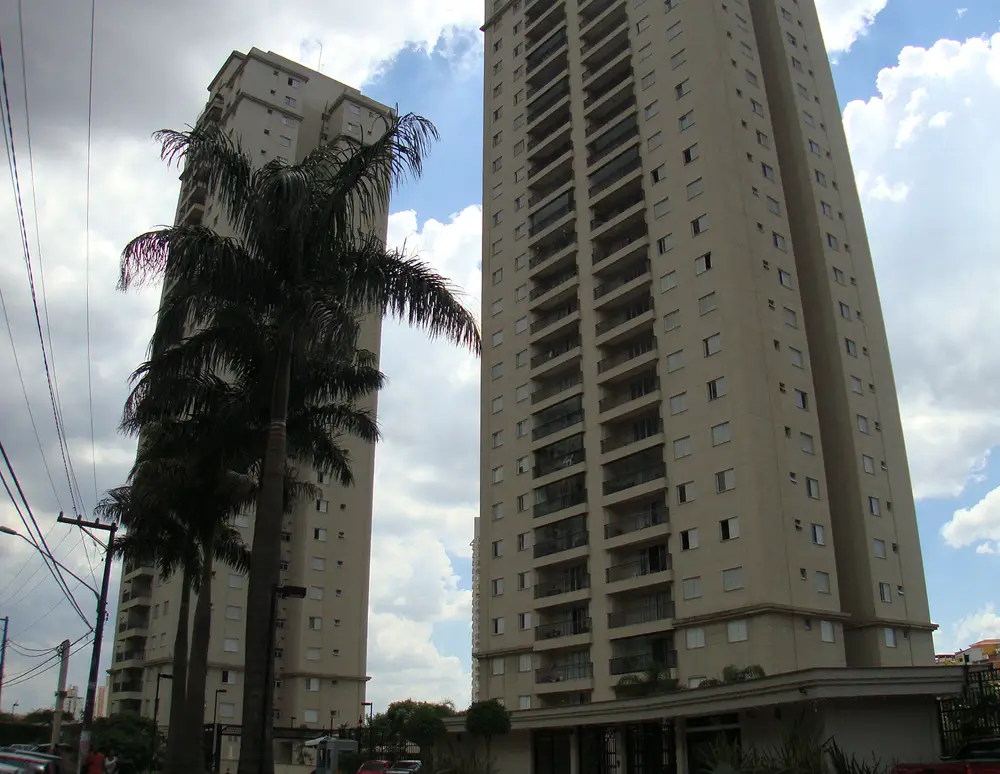 Vivaz — foto 4